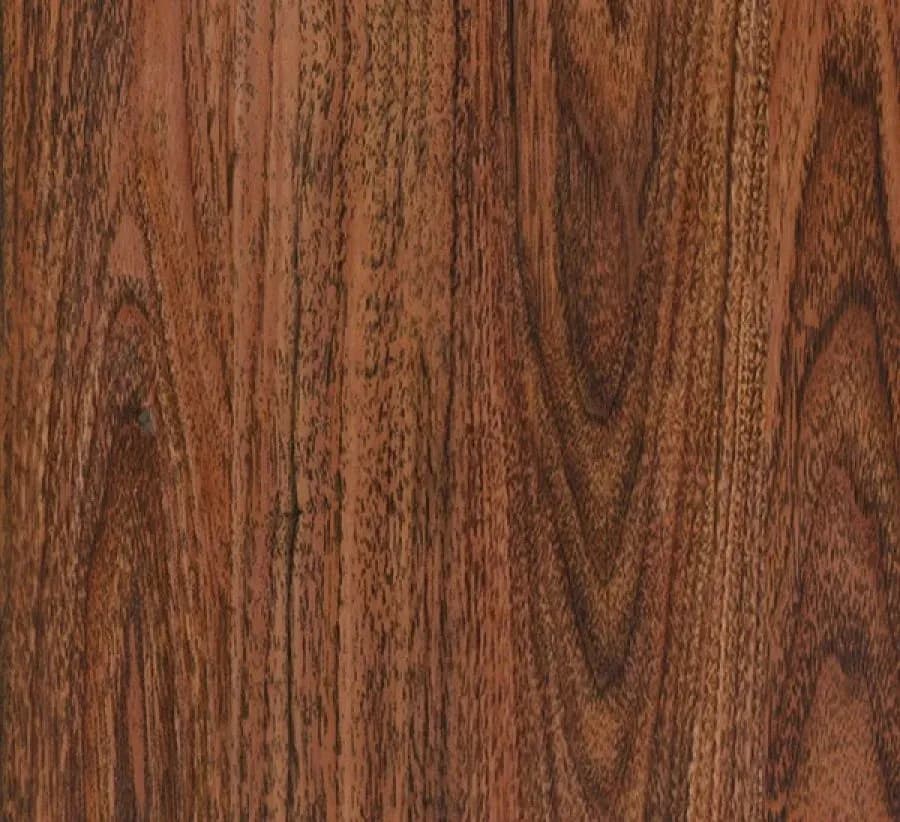 FA19