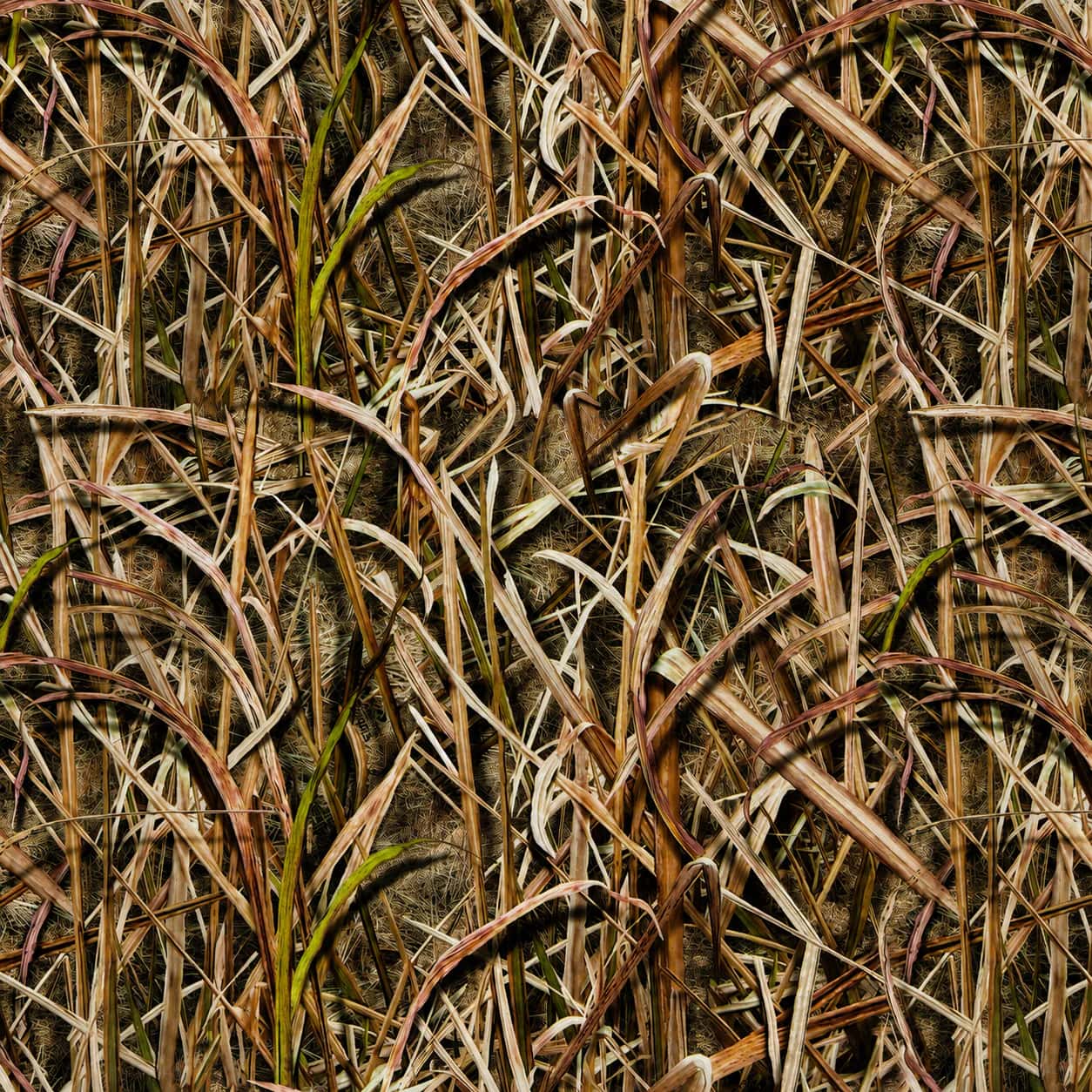 fk30